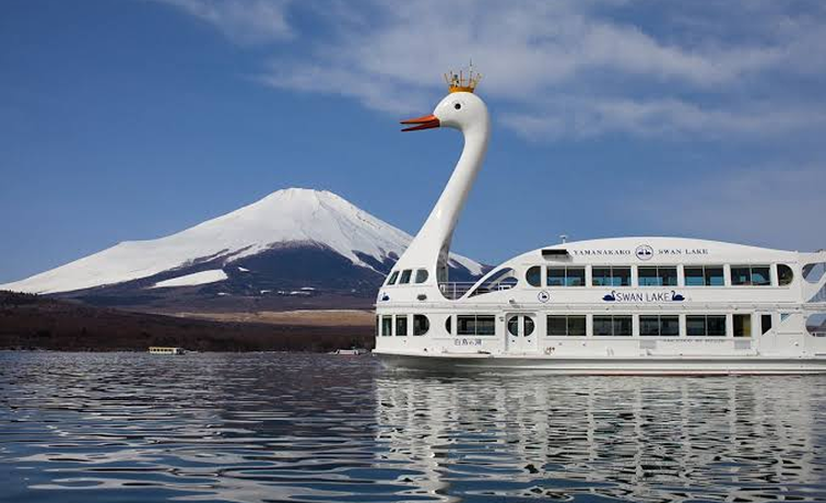 SWAN LAKE